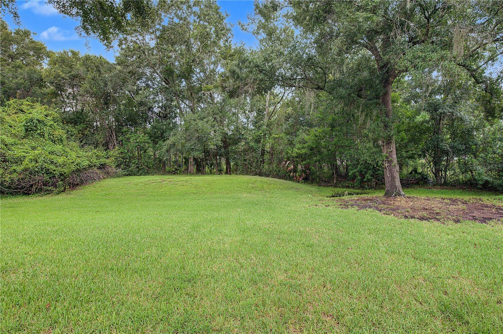 915 LAKE THOMAS LN — photo 59