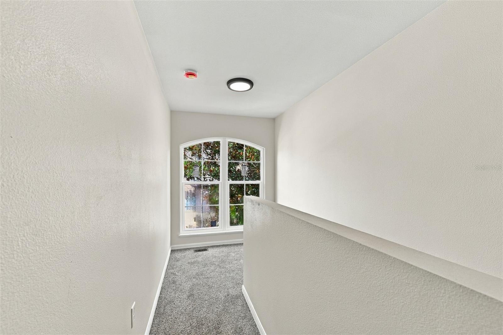 9951 ASHBURN LAKE DR — photo 19