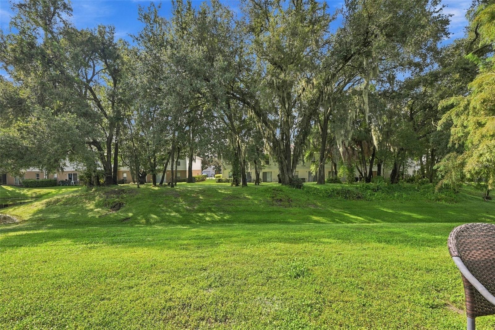 9951 ASHBURN LAKE DR — photo 40
