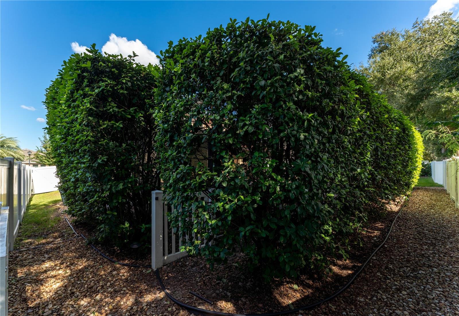215 PARSONS WOODS DR — photo 78