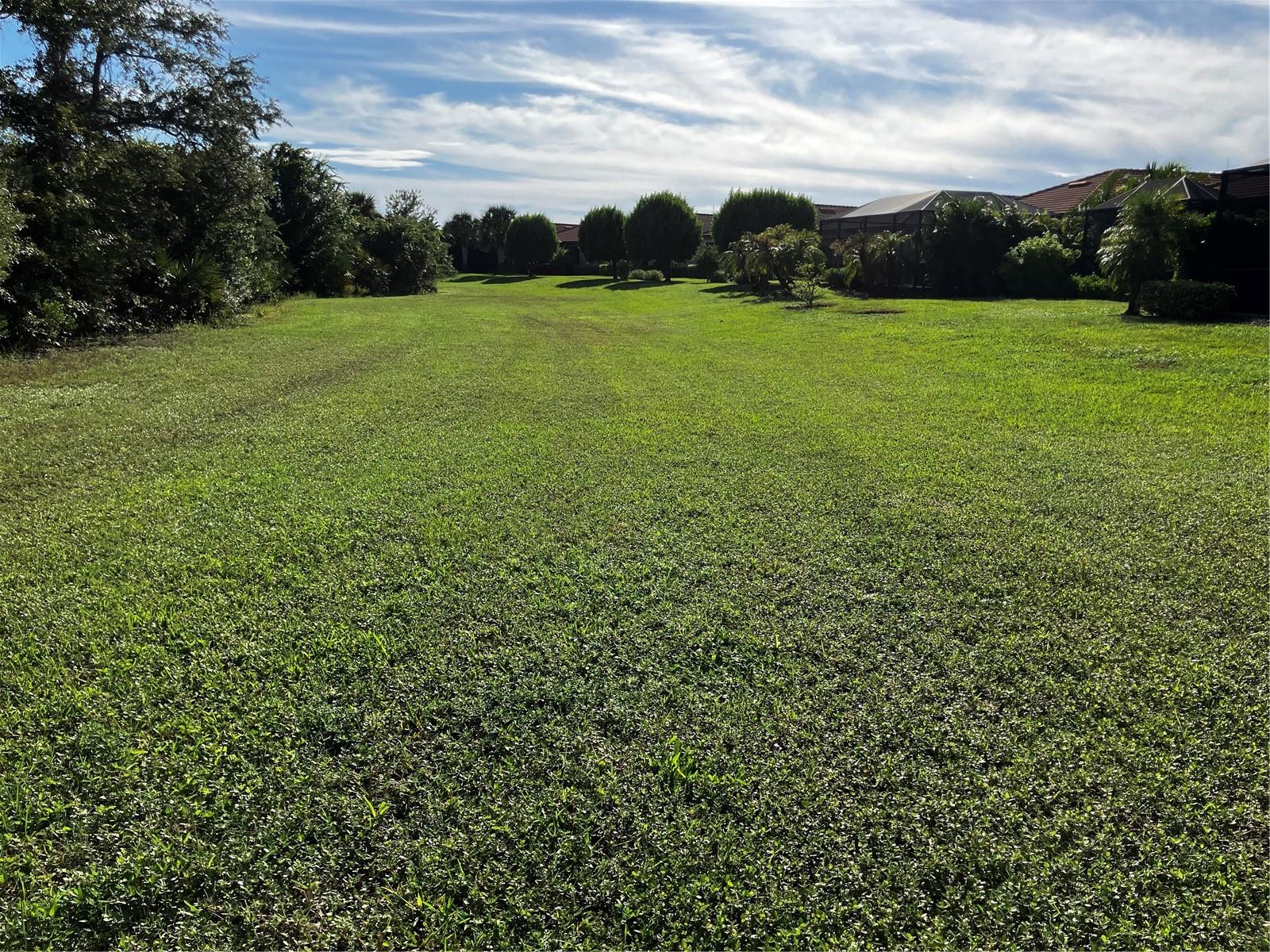 10141 FIDDLEWOOD DR — photo 13