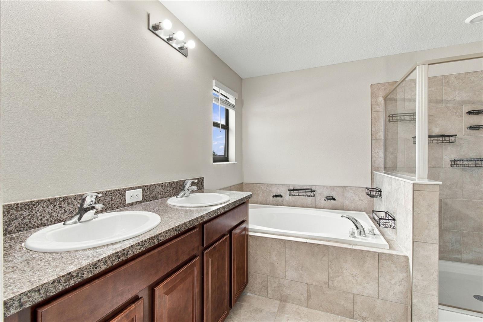 4110 CAT MINT ST — photo 29
