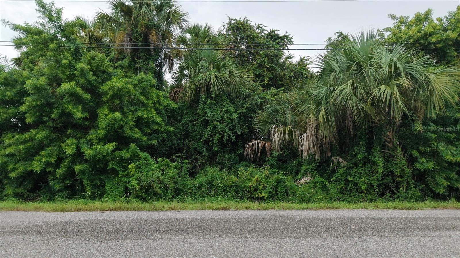 ENID LN — photo 20