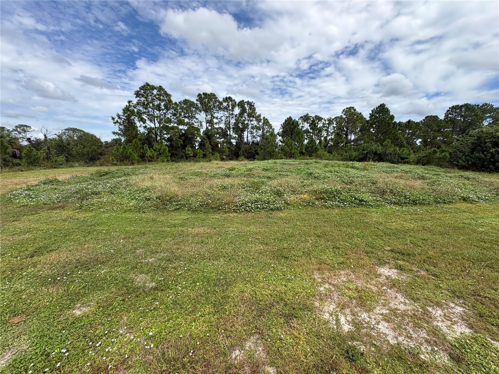 CAPER CIR — photo 6