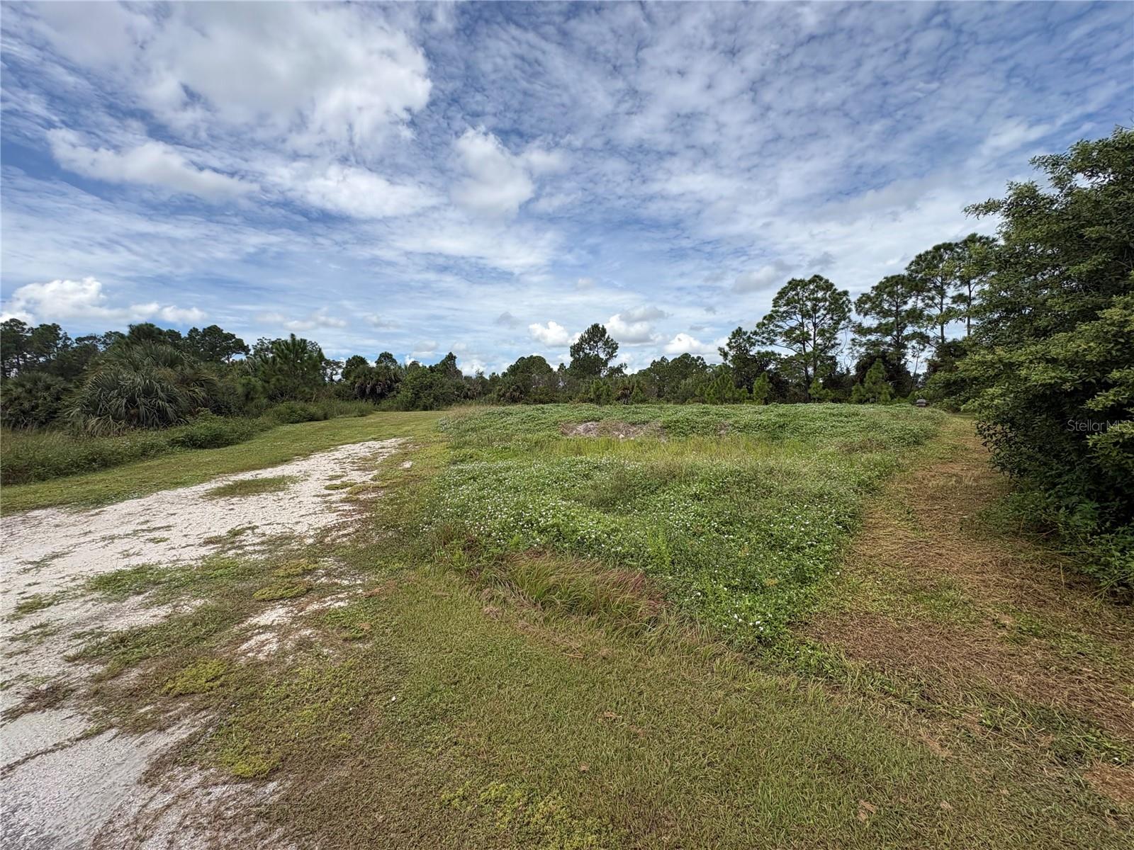 CAPER CIR — photo 4