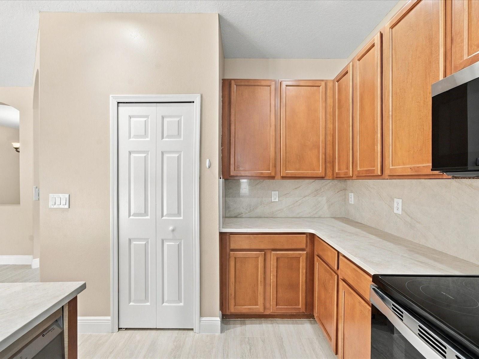 3132 SAGO POINT CT — photo 12
