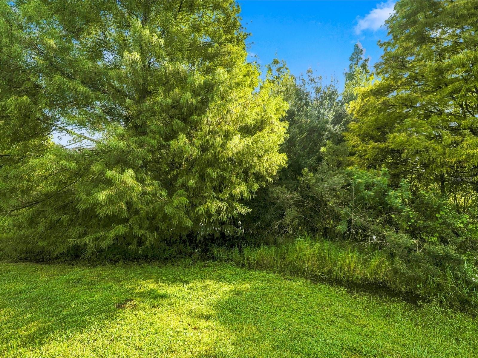 3132 SAGO POINT CT — photo 43