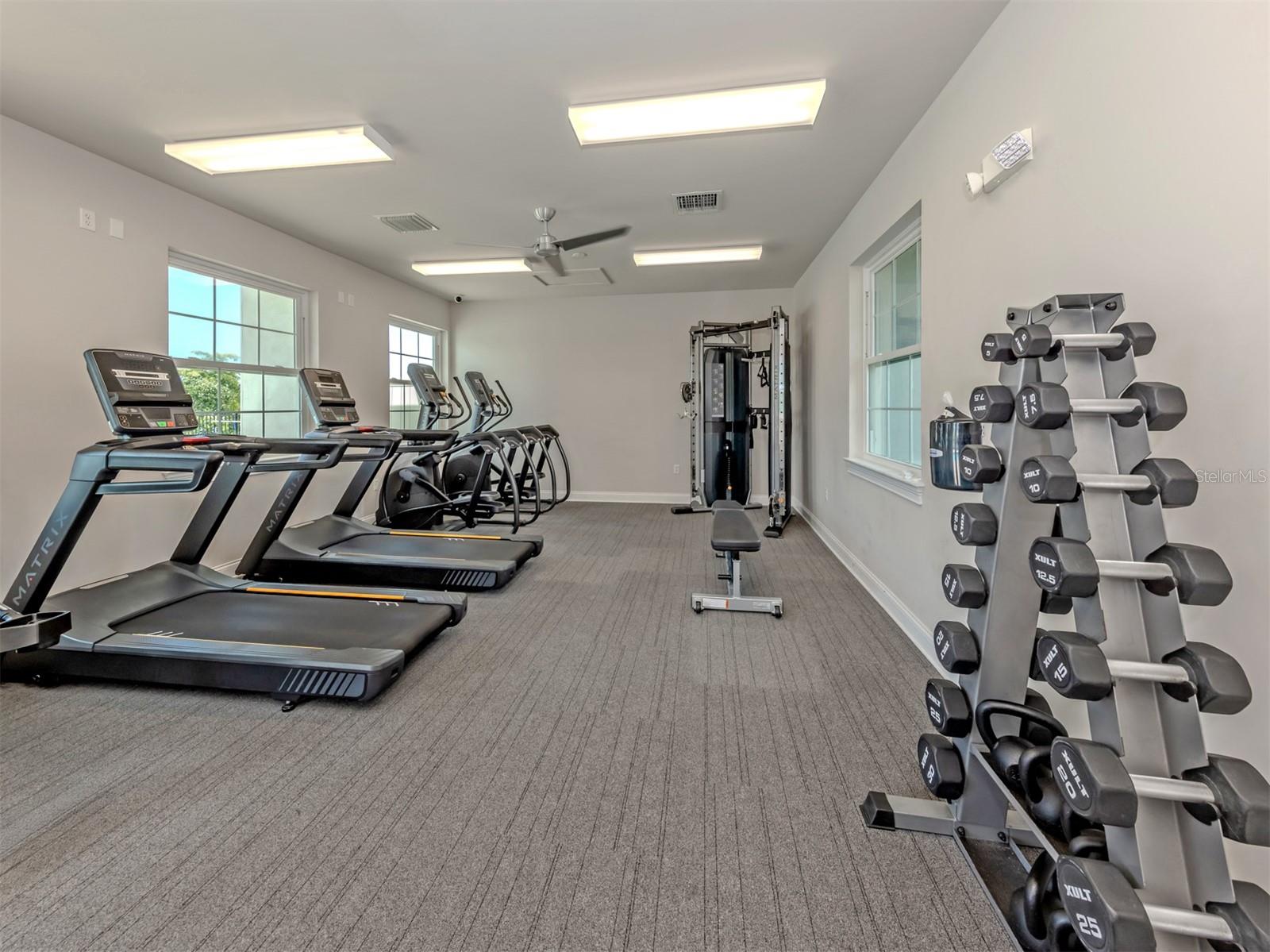 785 IBIZA LOOP — photo 29