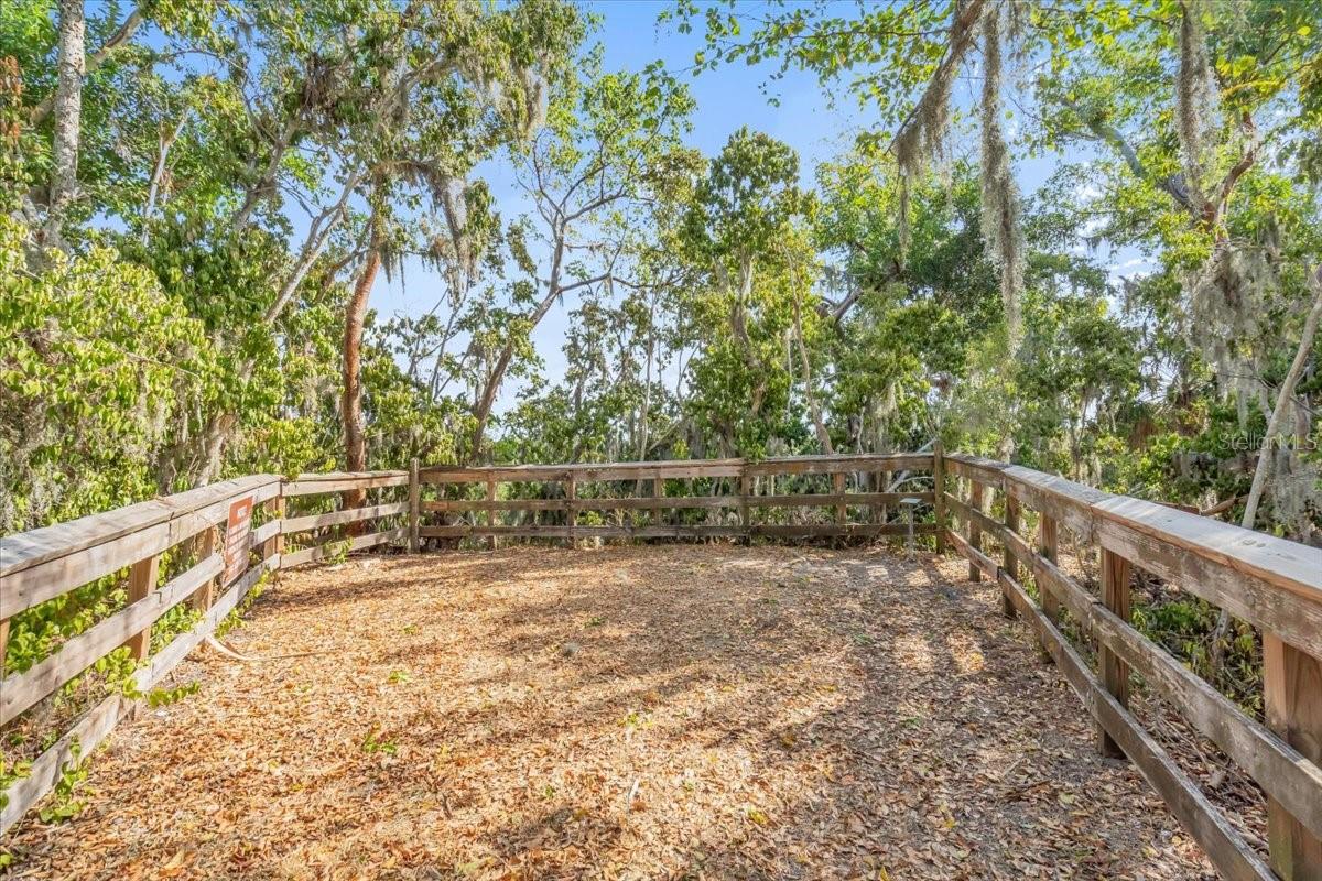 71 ISLAND CT — photo 30