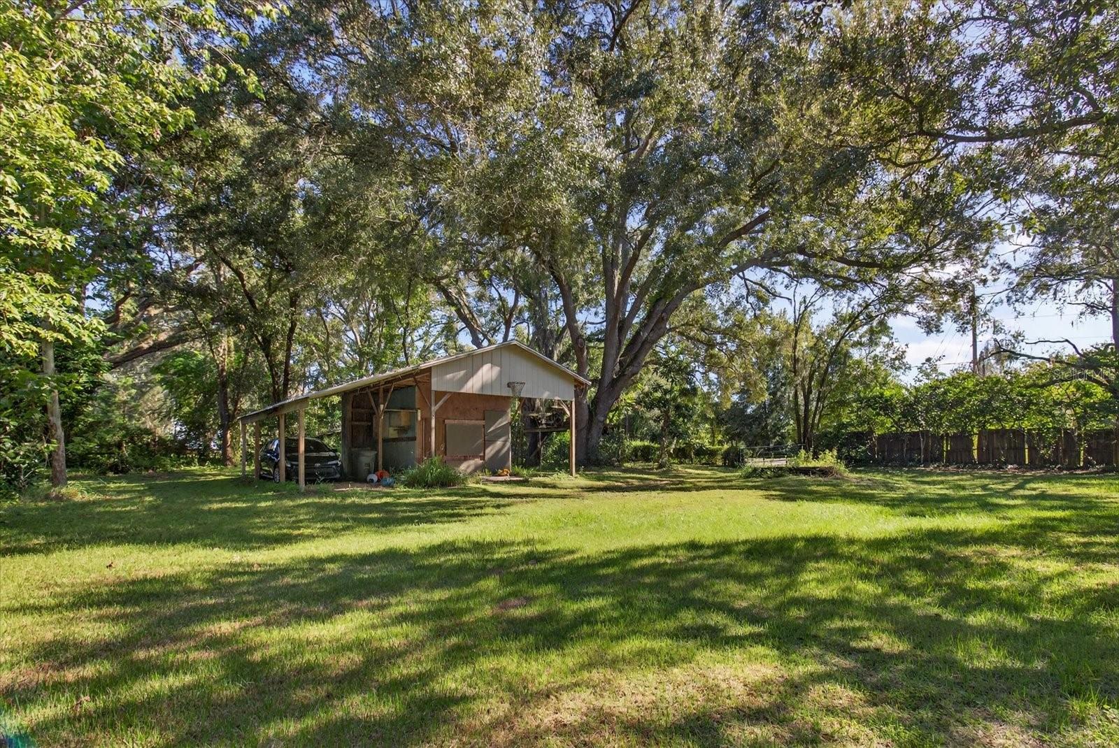 10019 CURLEY RD — photo 76