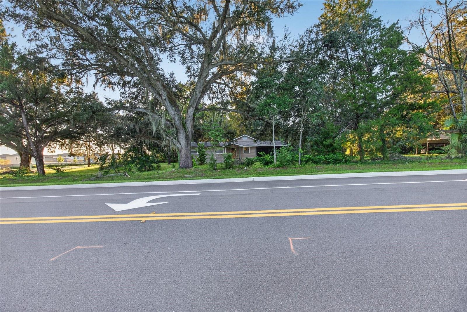 10019 CURLEY RD — photo 61