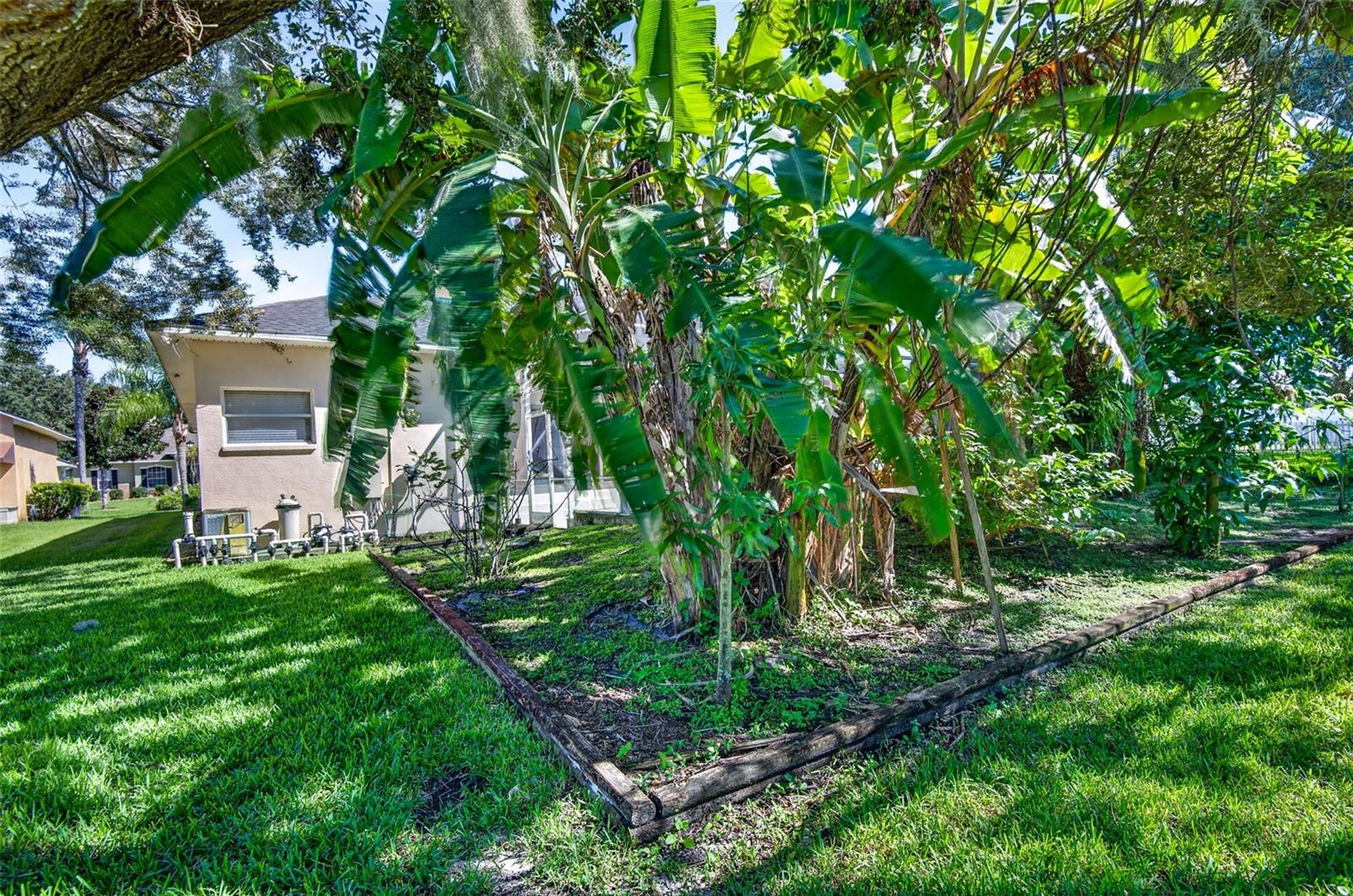 725 CITRUS WOOD LN — photo 64