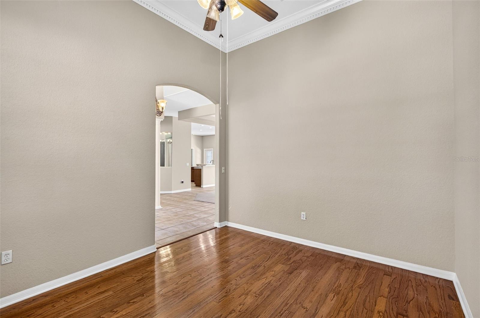 725 CITRUS WOOD LN — photo 6