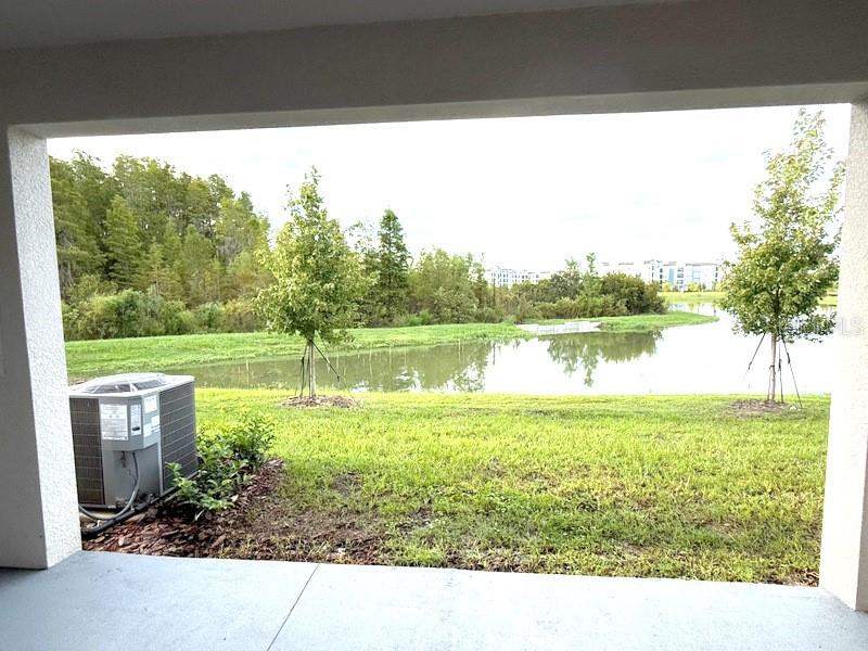 32571 MIDSUMMER NIGHT LN — photo 12