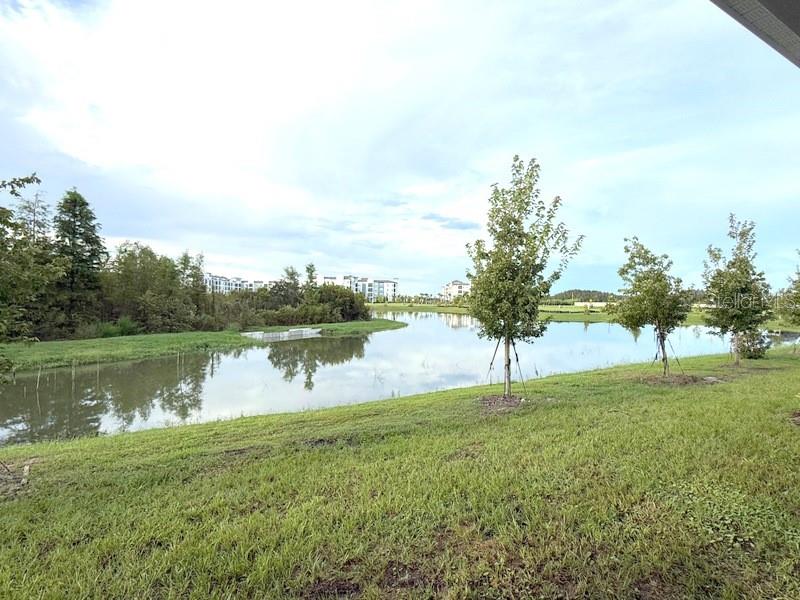 32571 MIDSUMMER NIGHT LN — photo 16