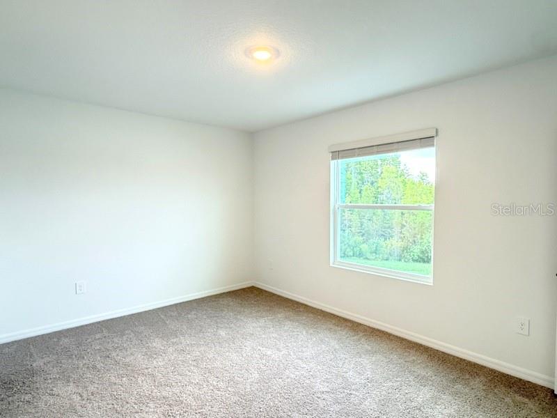 32571 MIDSUMMER NIGHT LN — photo 29