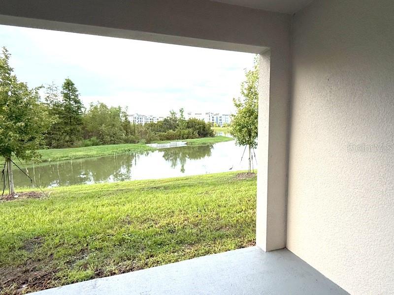 32571 MIDSUMMER NIGHT LN — photo 11