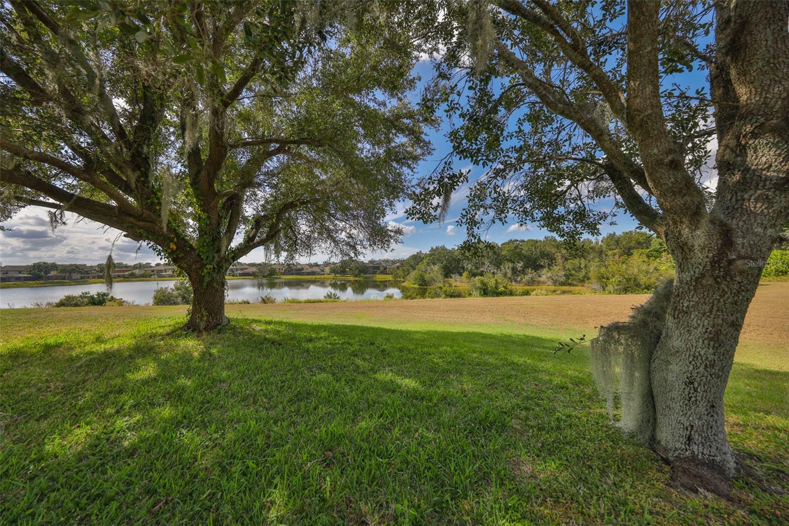 13914 CHALK HILL PL — photo 46