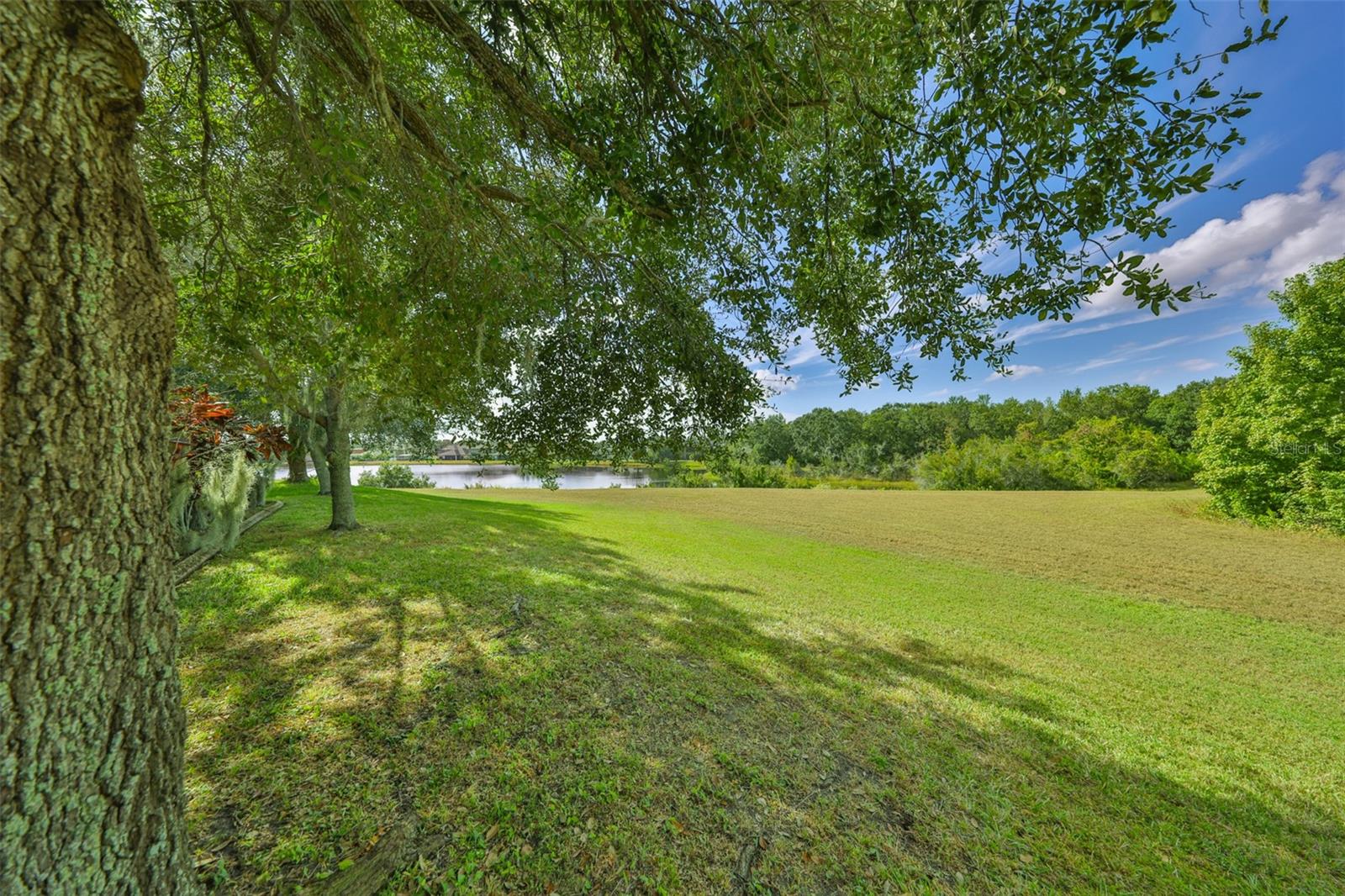13914 CHALK HILL PL — photo 47
