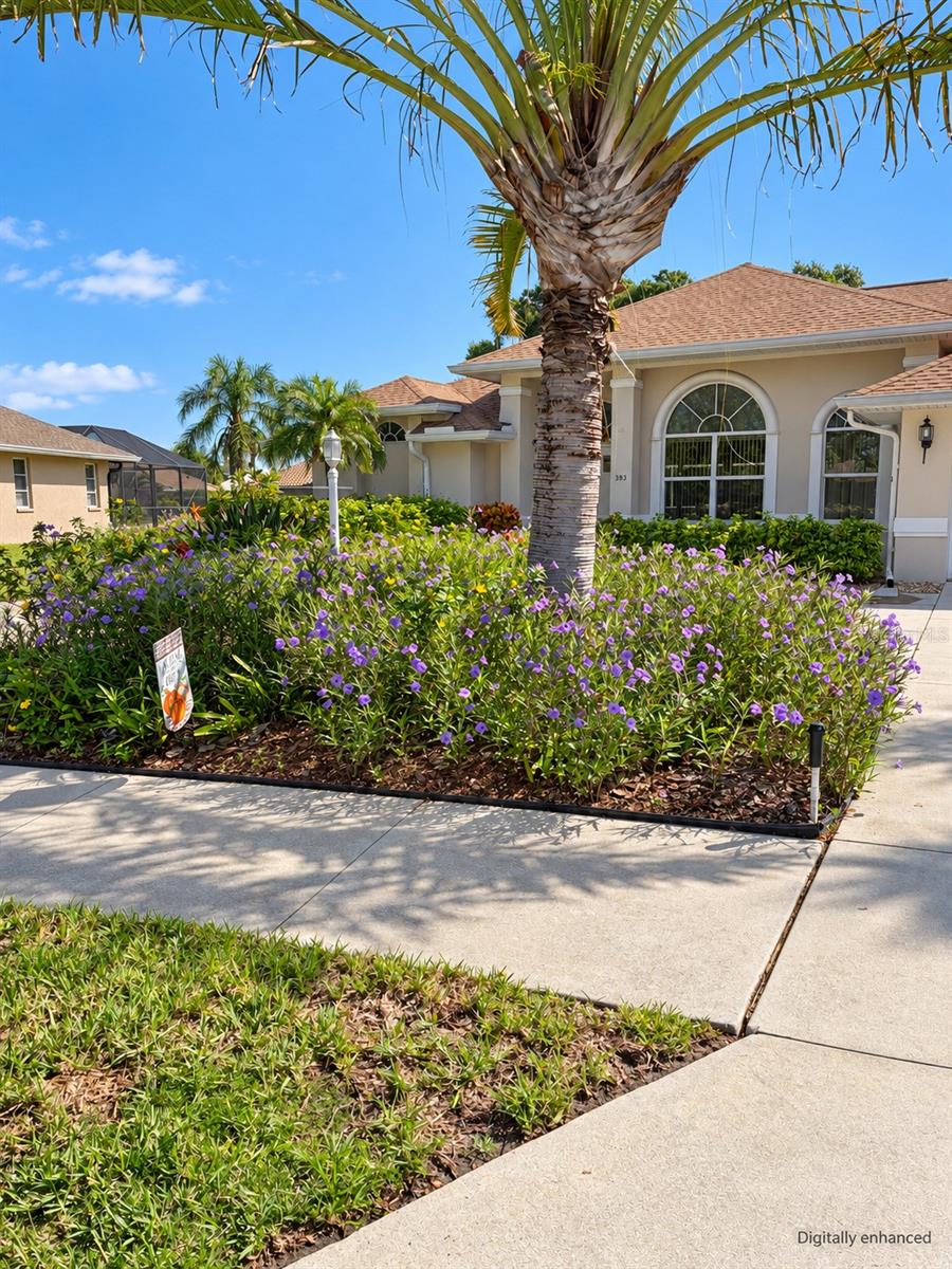 393 VISTA WOOD DR — photo 13