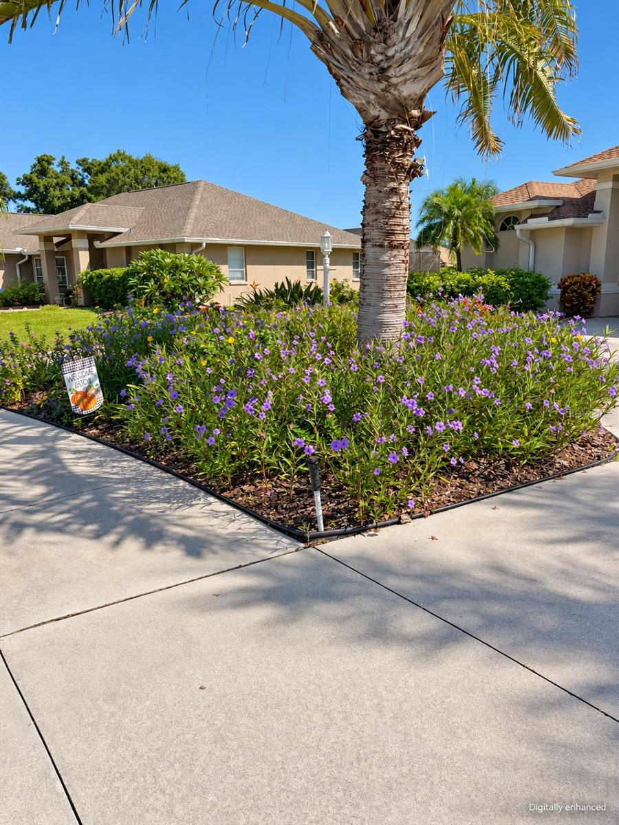 393 VISTA WOOD DR — photo 12