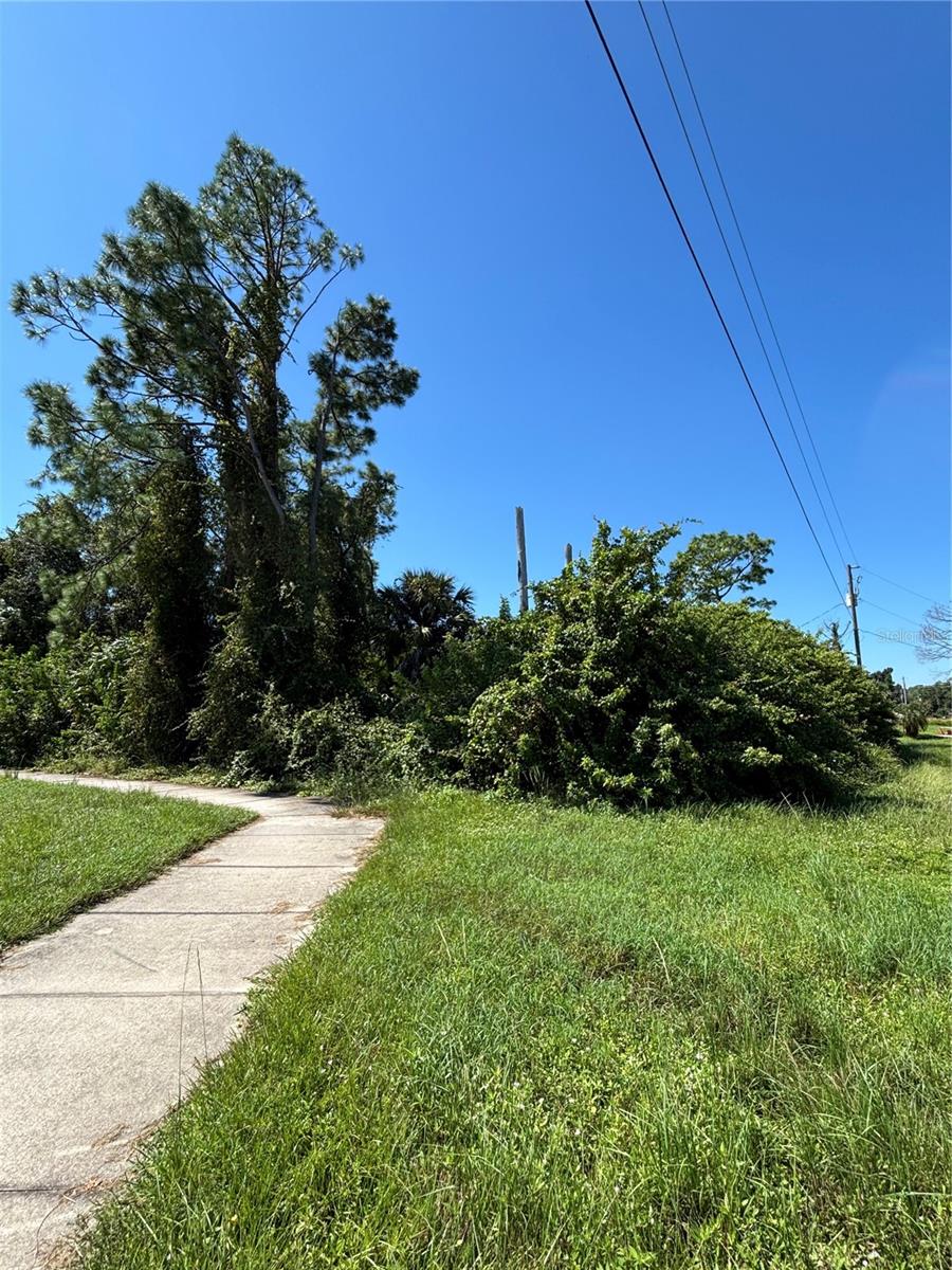 WENONA DR — photo 4
