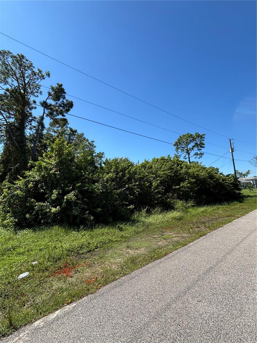 WENONA DR — photo 6