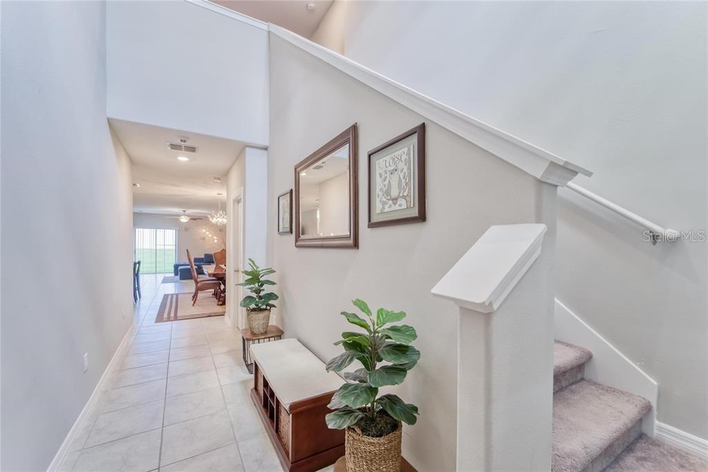 11918 MIRACLE MILE DR — photo 3