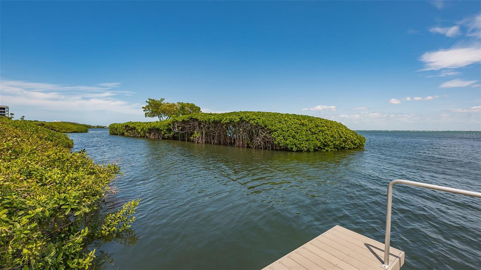2110 HARBOURSIDE DR #523 — photo 41
