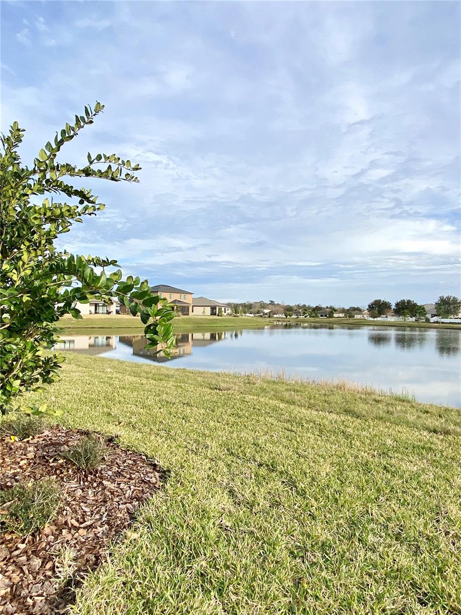 33879 ASTORIA CIR — photo 56