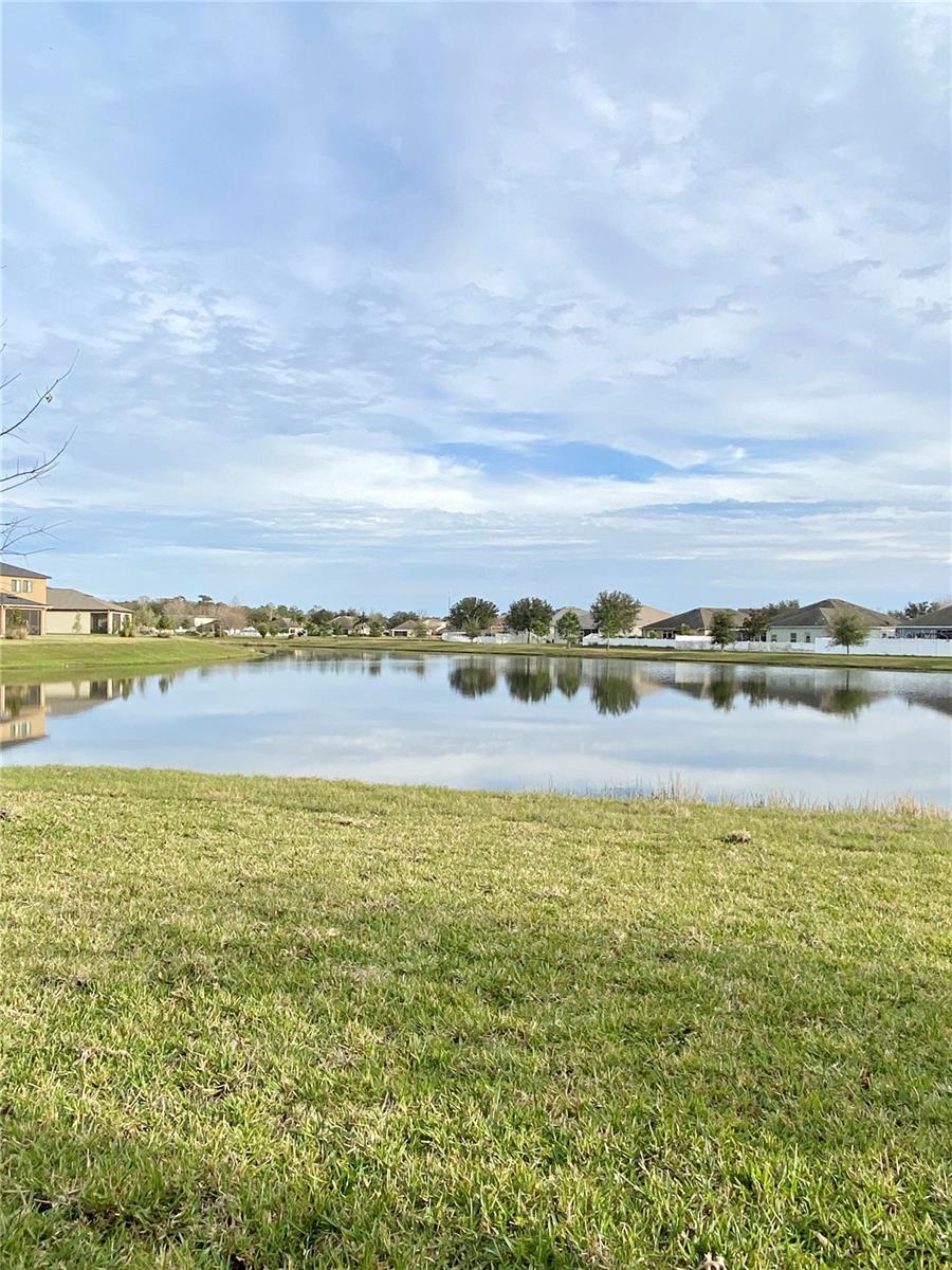 33879 ASTORIA CIR — photo 59
