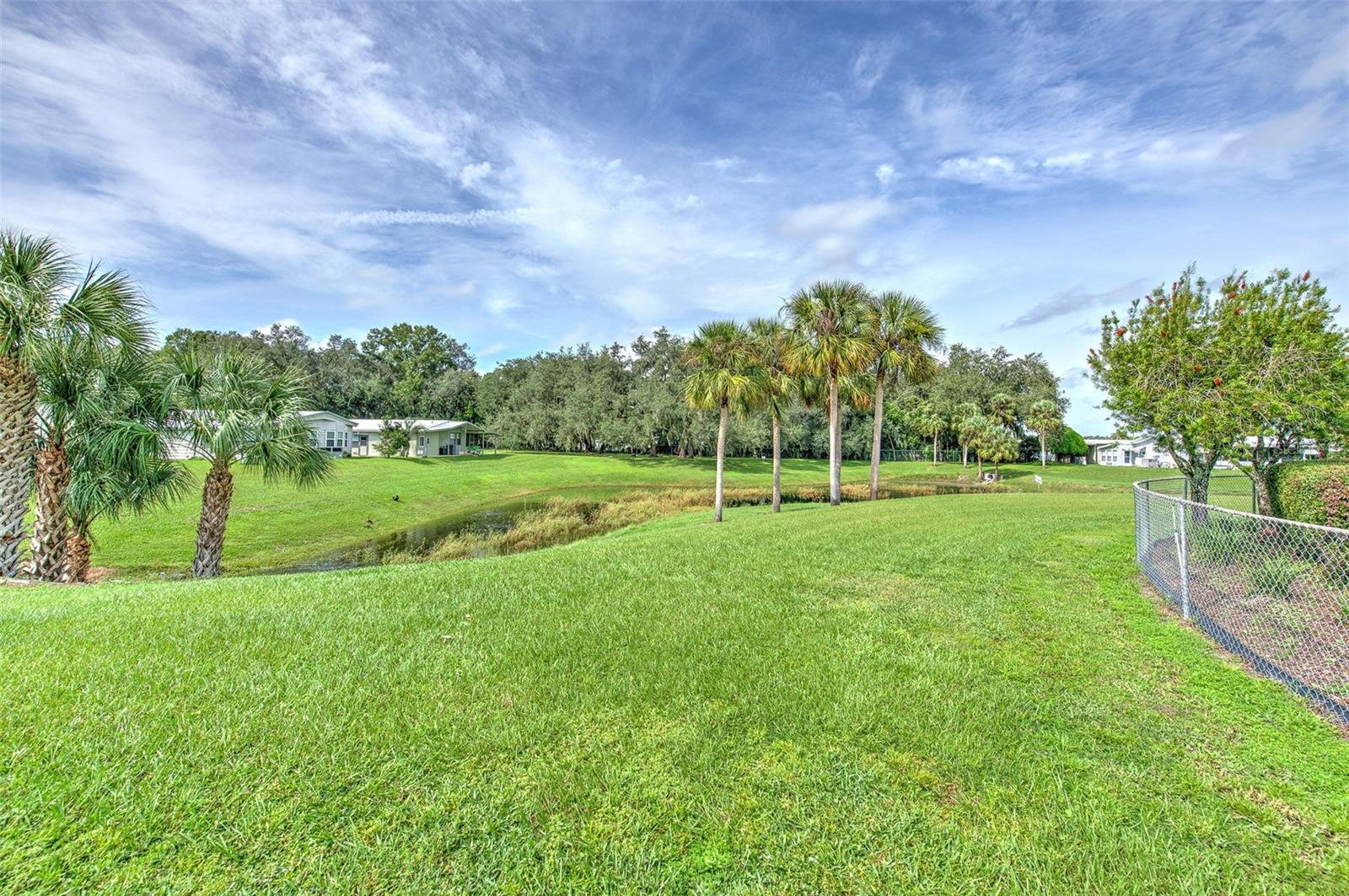 35207 MAKENZIE ST — photo 38