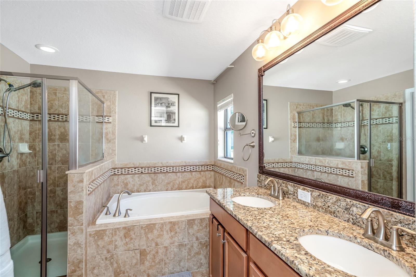 12539 MOUNTAIN SPRINGS PL — photo 11
