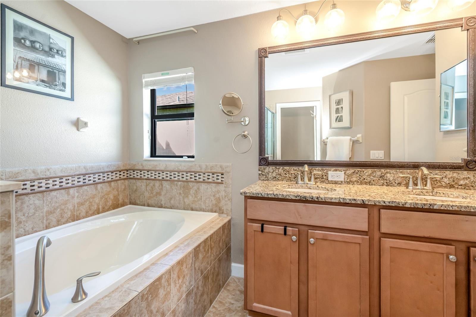 12539 MOUNTAIN SPRINGS PL — photo 12