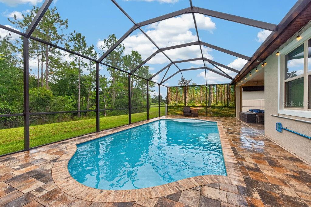 18431 CORTES CREEK BLVD — photo 43