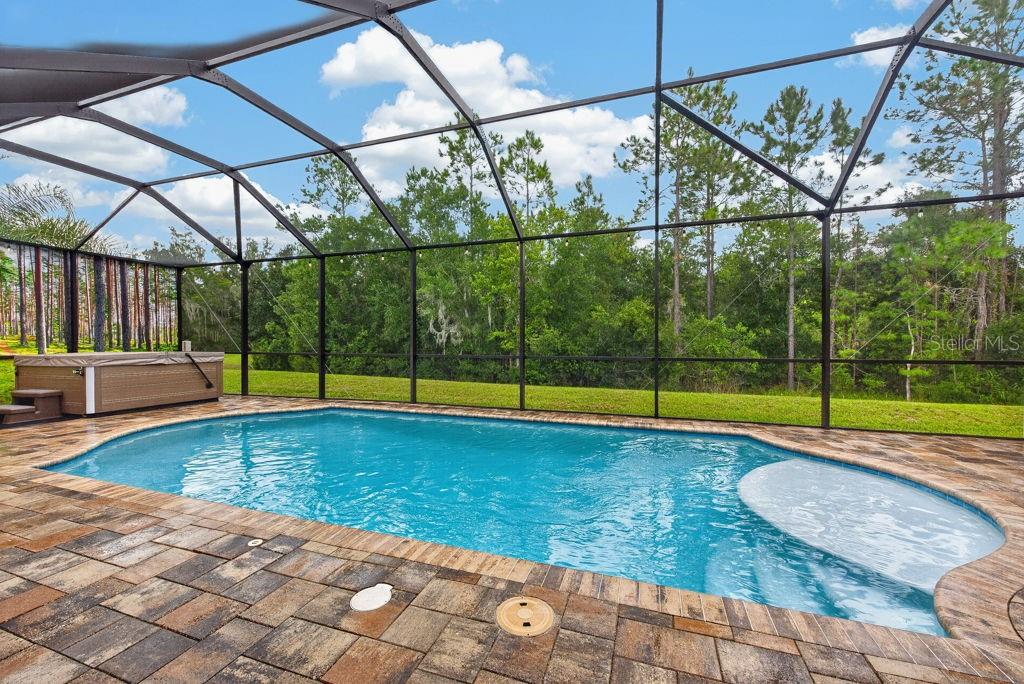 18431 CORTES CREEK BLVD — photo 41