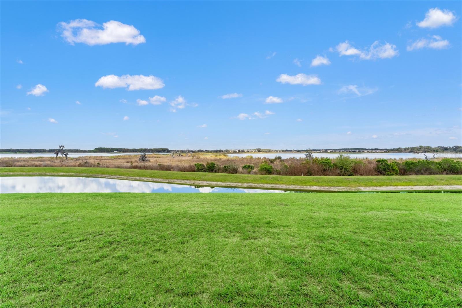 31713 SUN KETTLE LOOP — photo 44