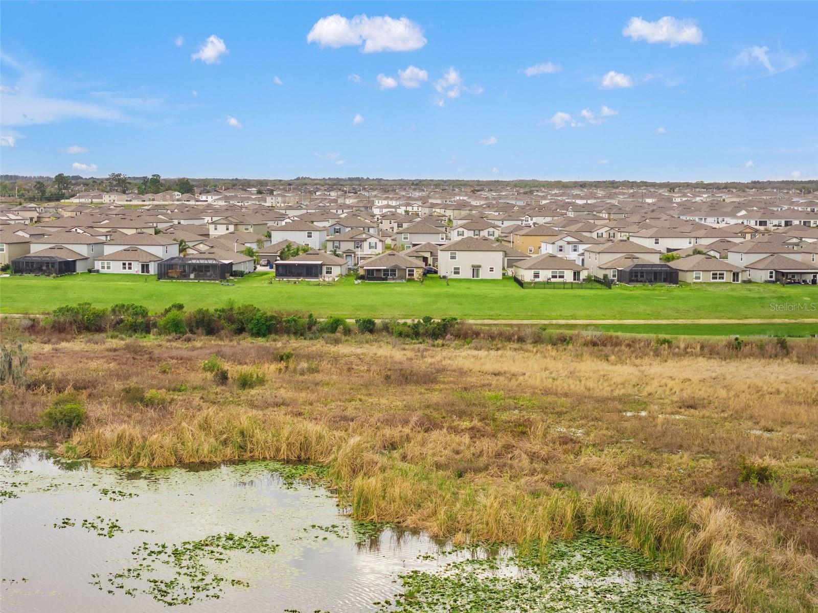 31713 SUN KETTLE LOOP — photo 49