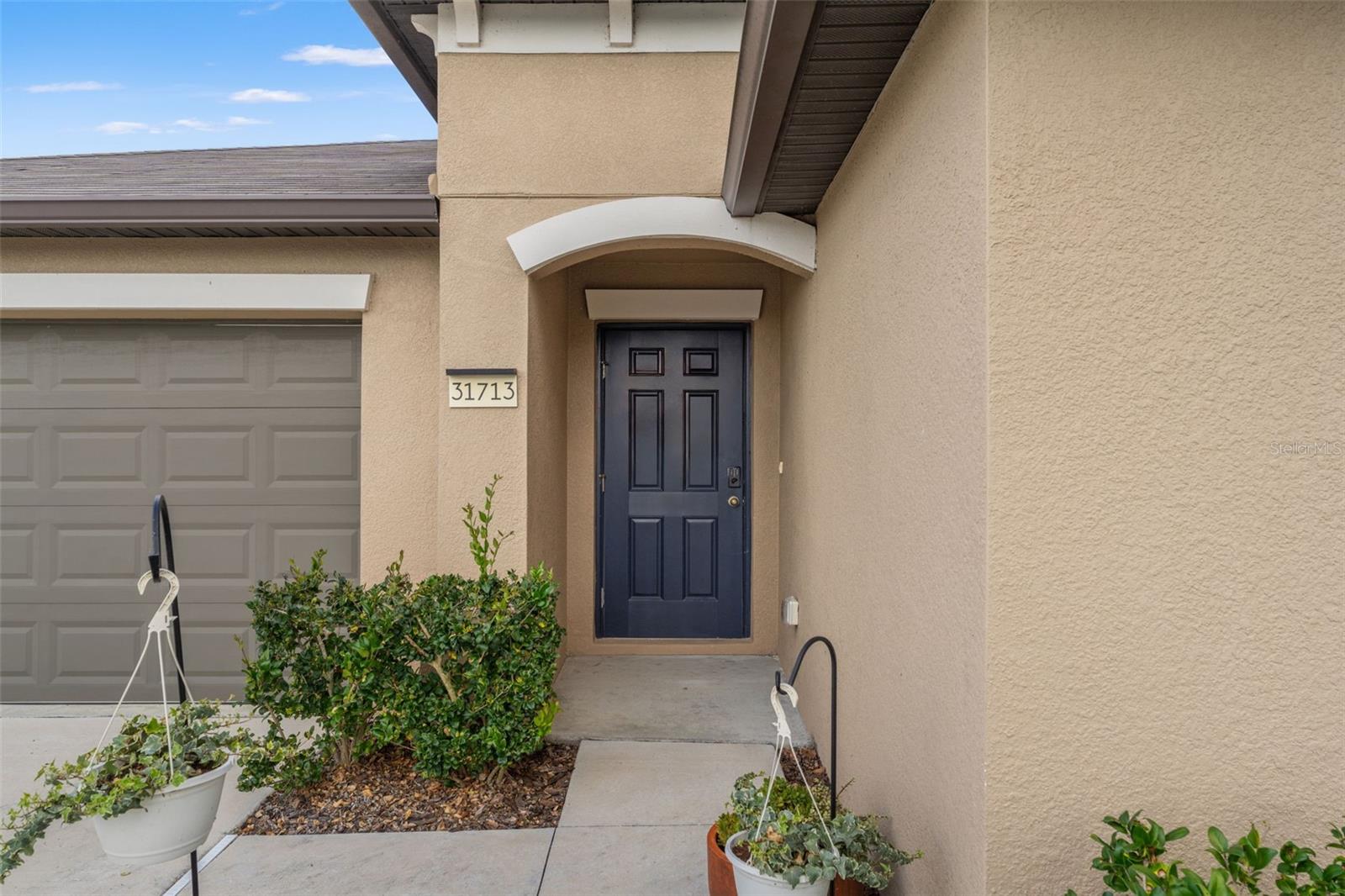 31713 SUN KETTLE LOOP — photo 9