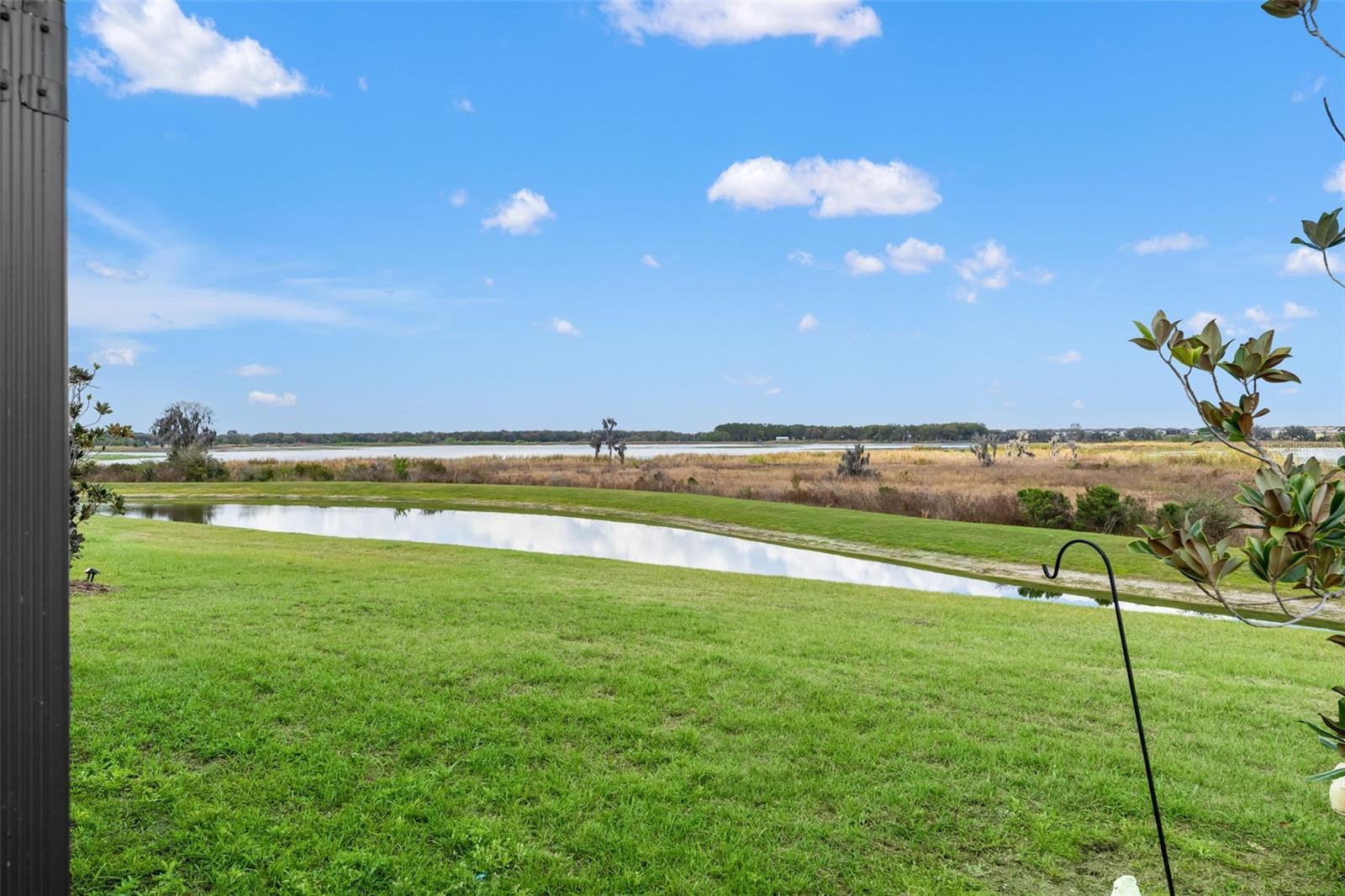 31713 SUN KETTLE LOOP — photo 45