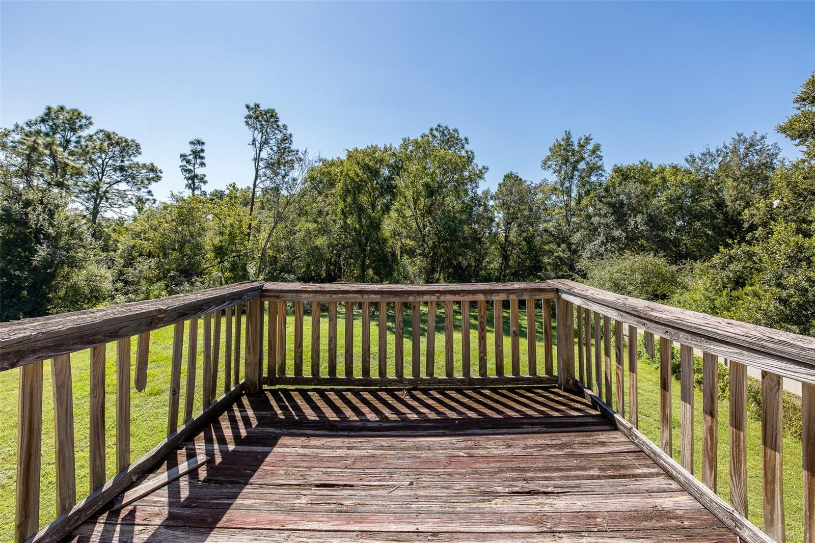 31524 CROSS CREEK LN — photo 49