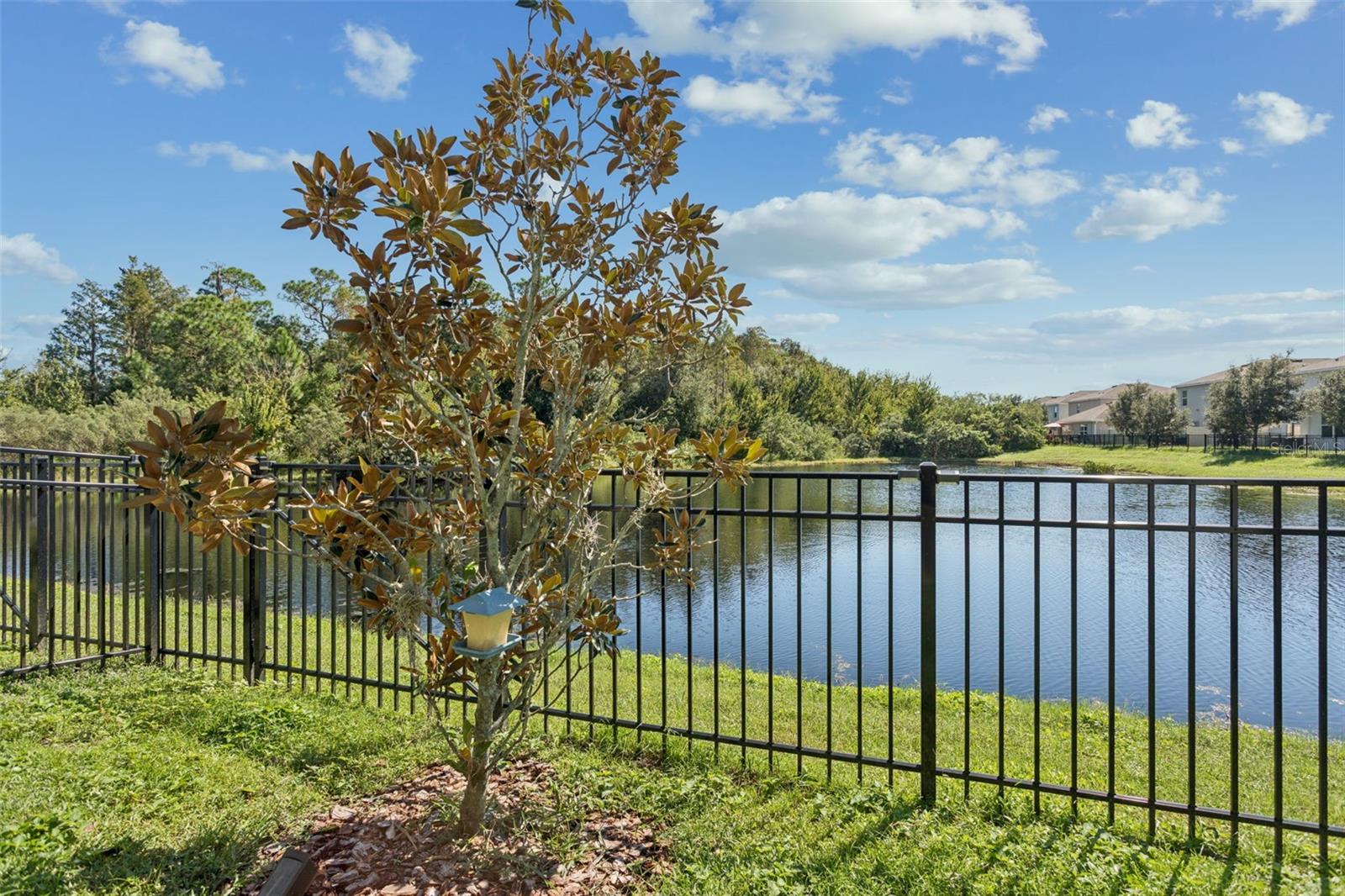 2838 SUNCOAST BLEND DR — photo 27