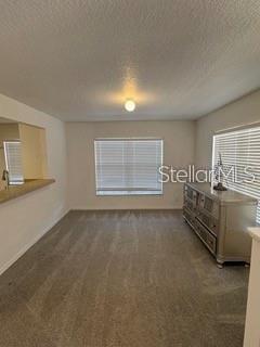 3425 DRAGON VIEW CT — photo 4