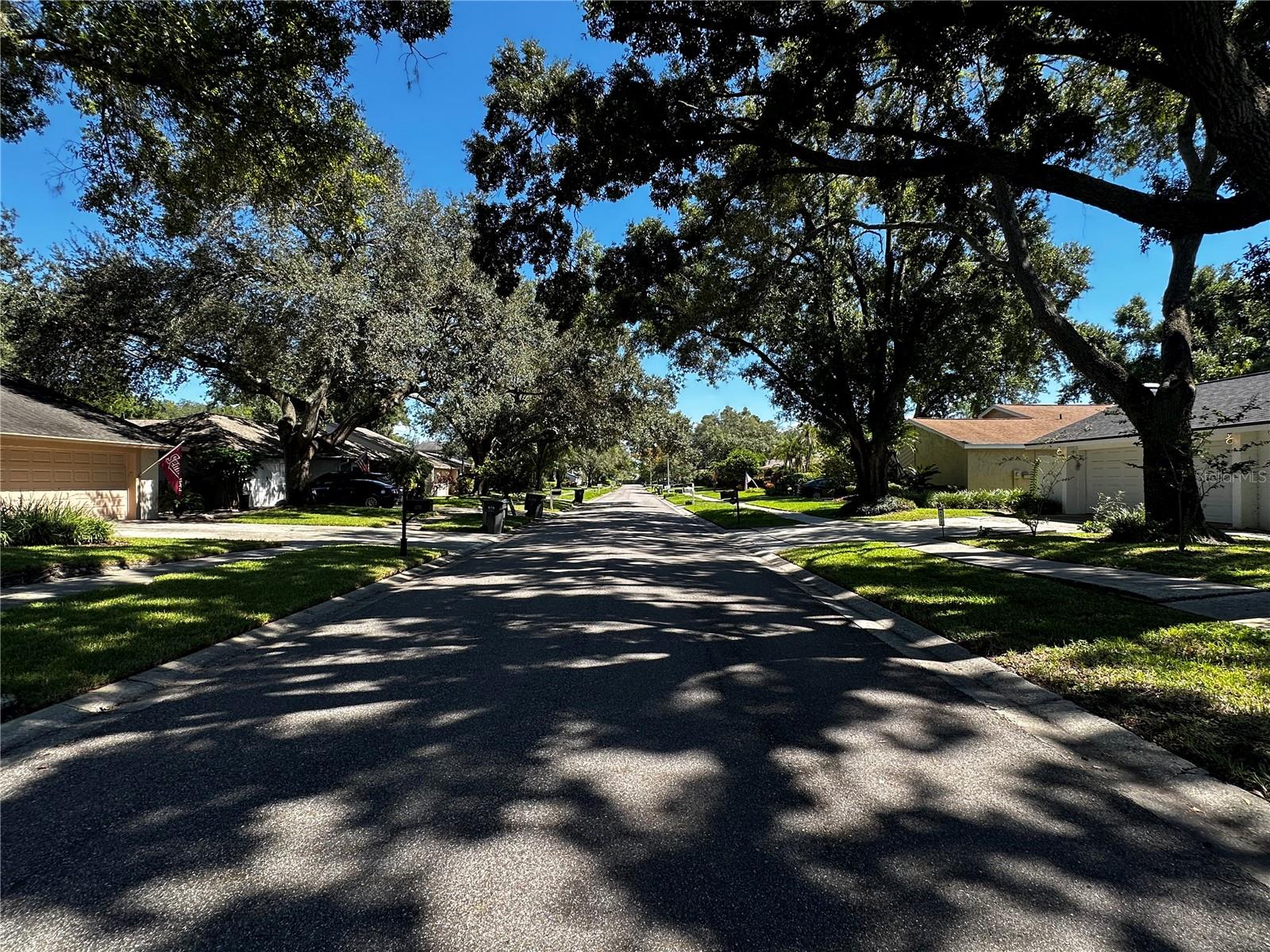 Home in TAMPA — photo 17