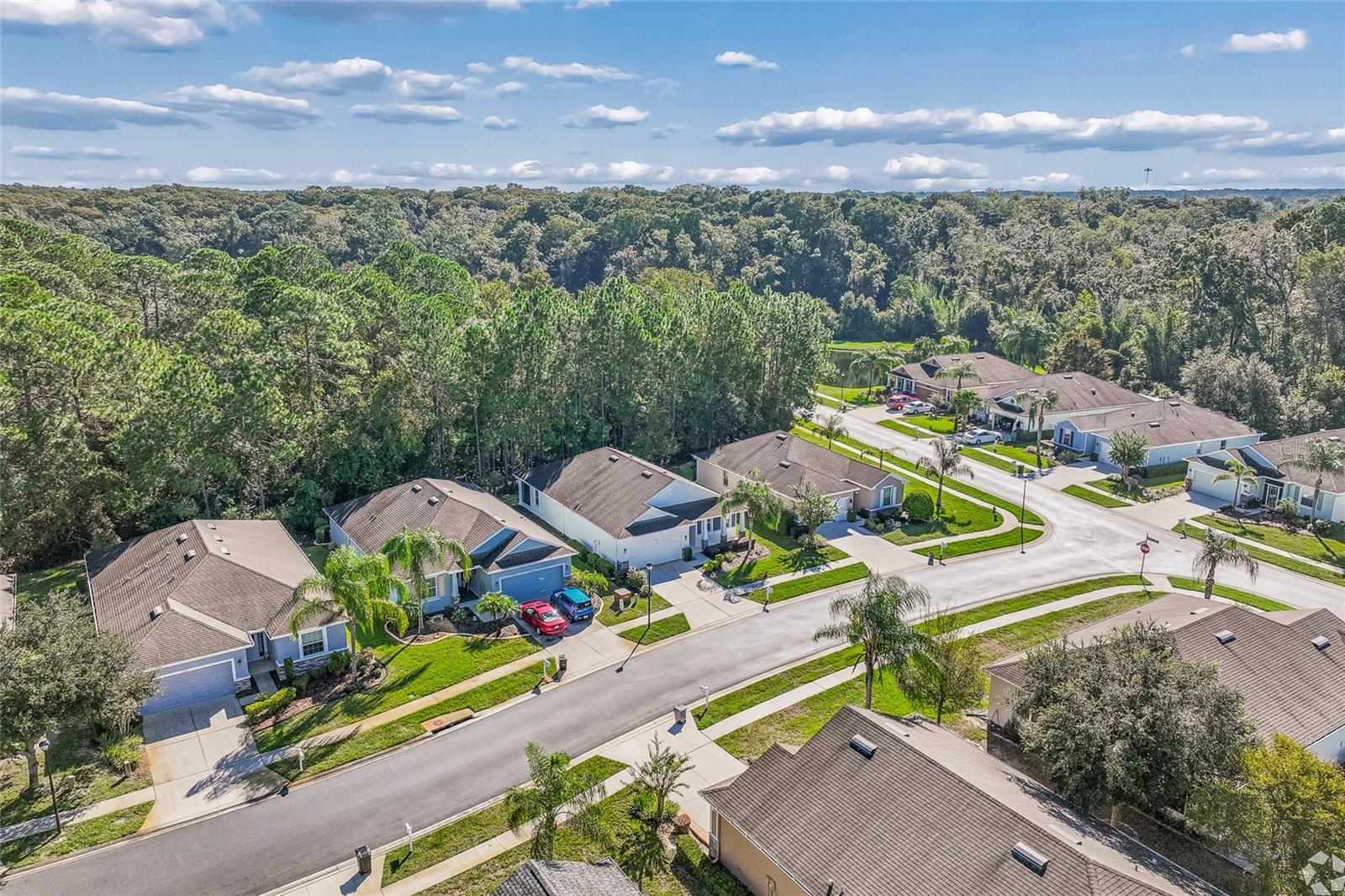 11030 PARADISE POINT WAY — photo 38