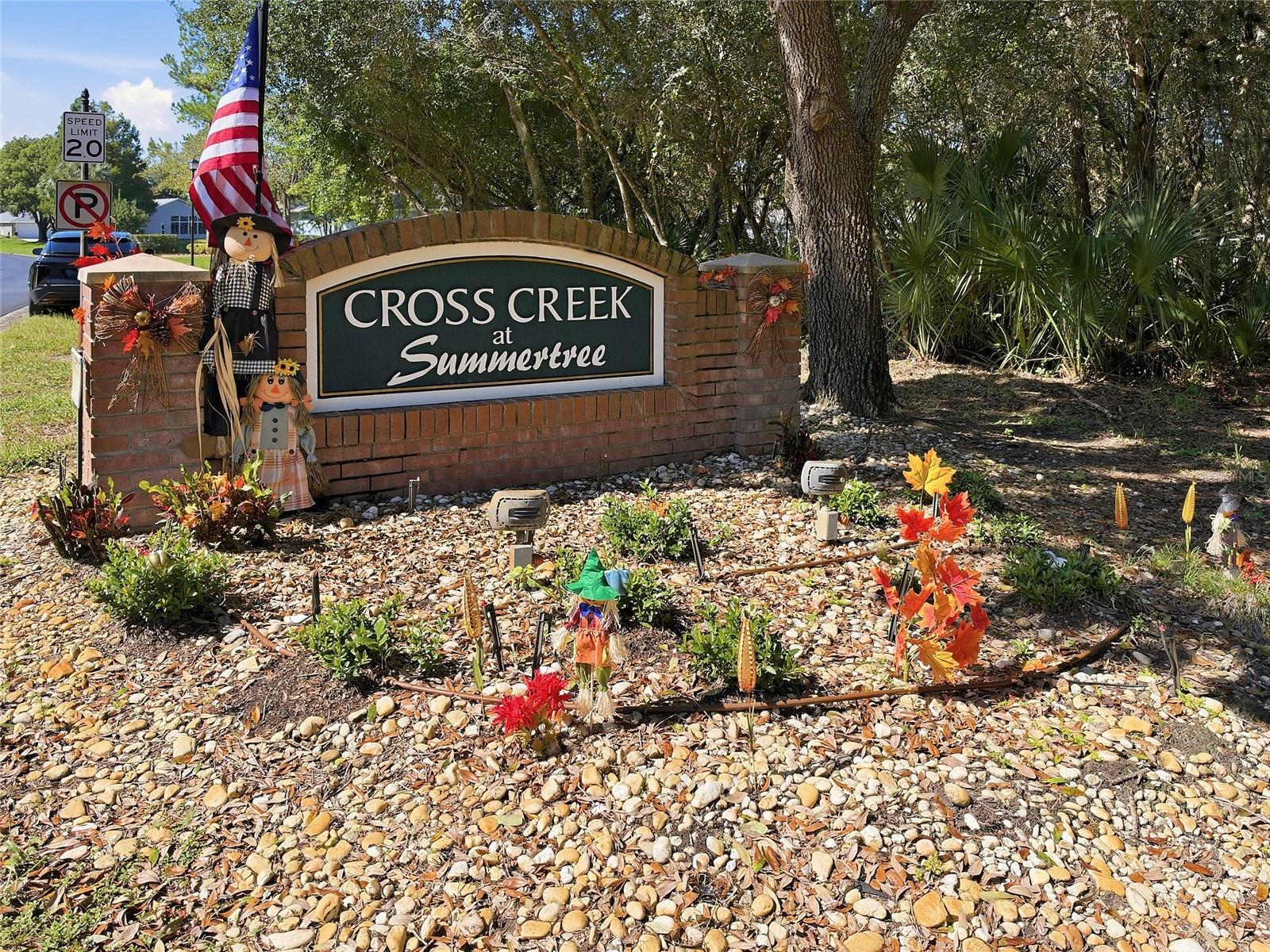 11030 PARADISE POINT WAY — photo 40