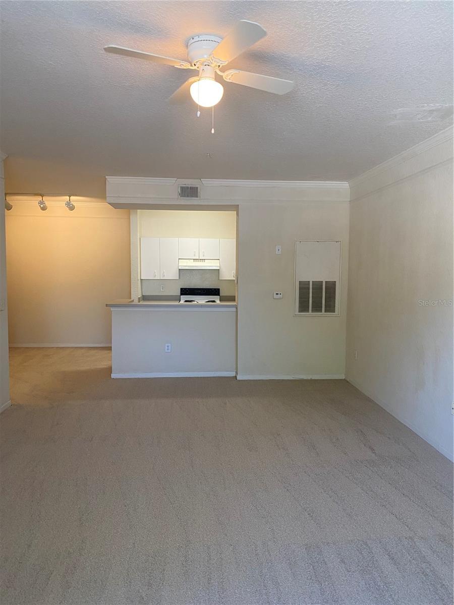 17110 CARRINGTON PARK DR #803 — photo 11
