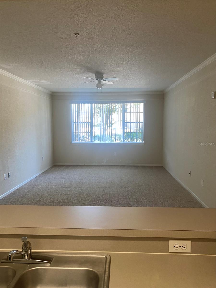 17110 CARRINGTON PARK DR #803 — photo 10
