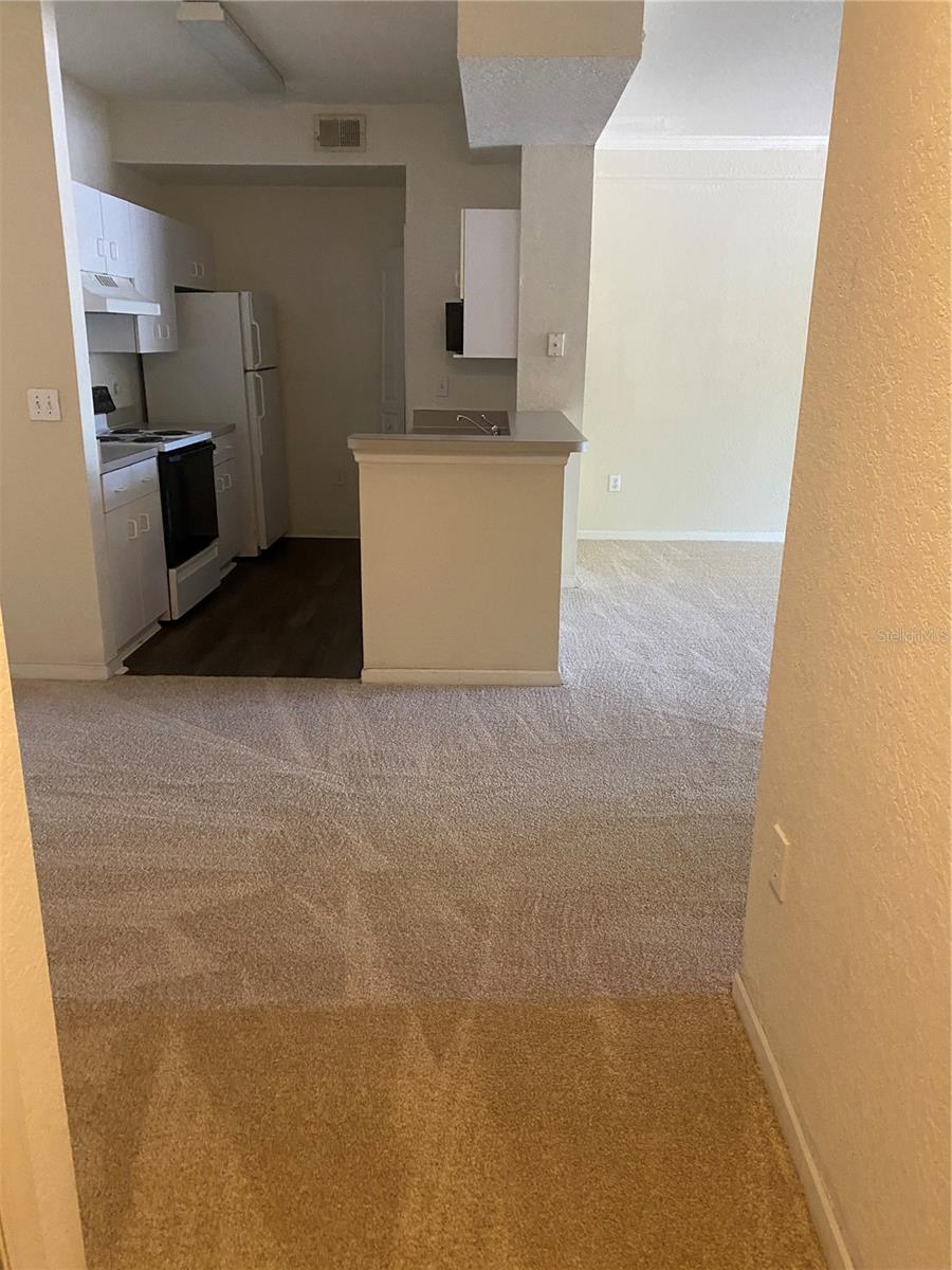 17110 CARRINGTON PARK DR #803 — photo 3