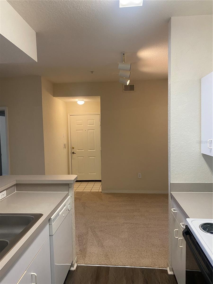17110 CARRINGTON PARK DR #803 — photo 19